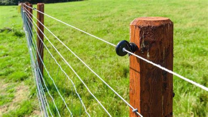 What is the best wire to use for fencing?