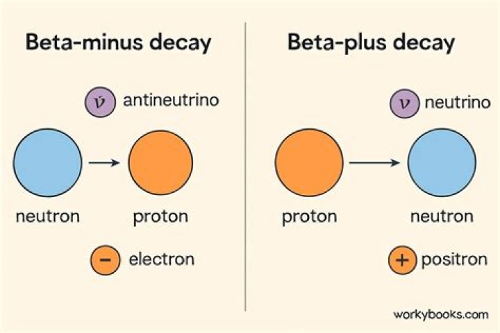 What is the beta decay of lead?