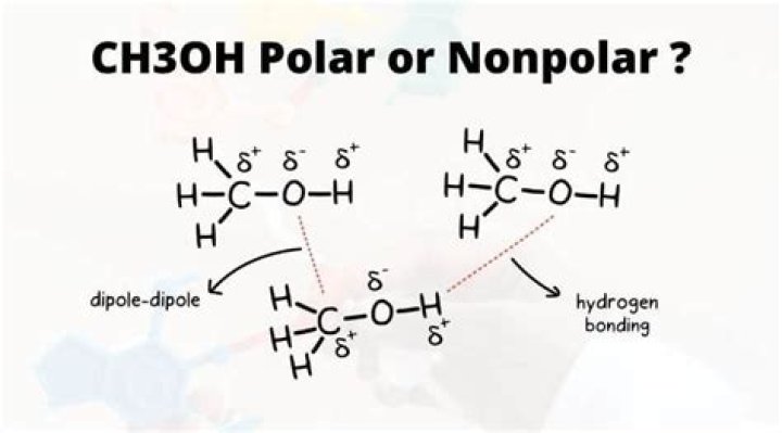 What is the bond polarity of ch3oh?