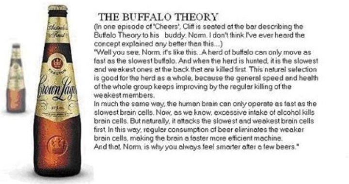What is the Buffalo Theory from Cheers?
