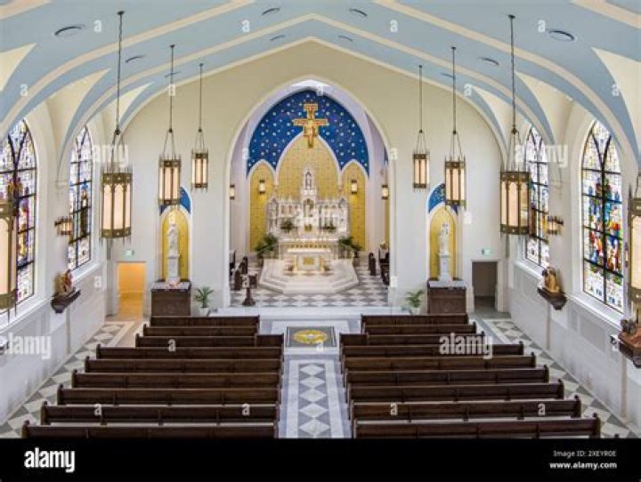 What is the Catholic church view on celibacy?