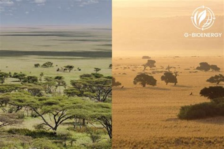 What is the climate like in a mesa?