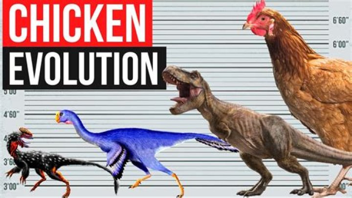 What is the closest animal to a dinosaur?