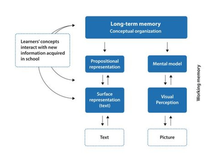 What is the cognitive model of reading?