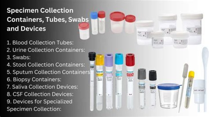 What is the container for animal cells?