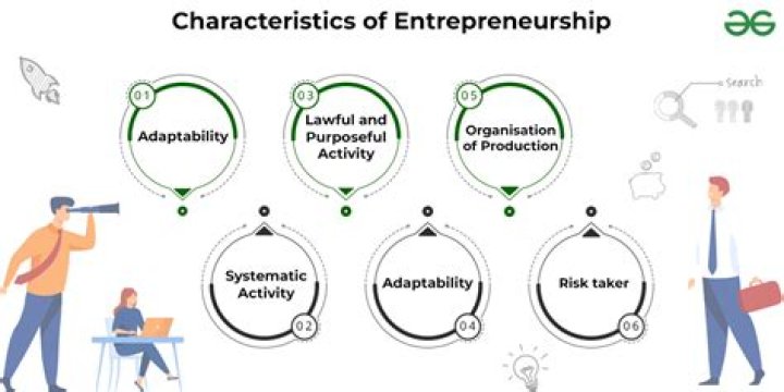What is the contribution of an entrepreneur?