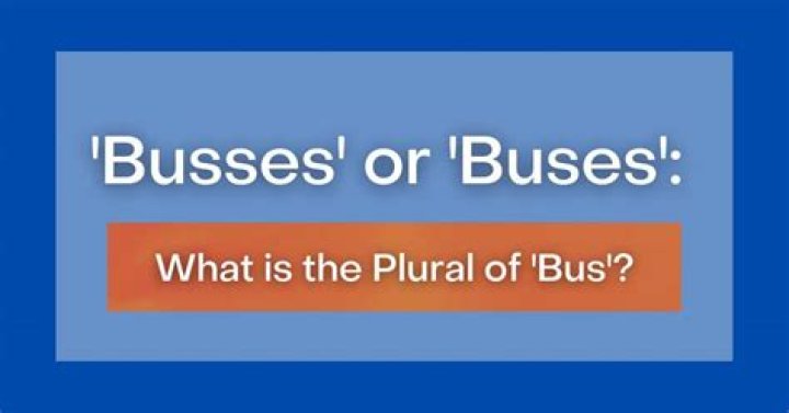 What is the correct plural form of bus?