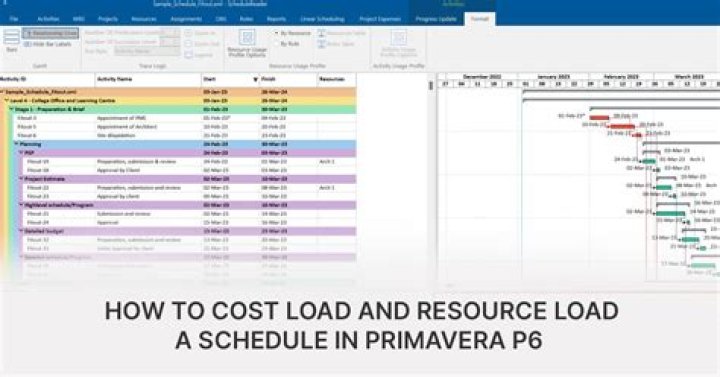 What is the cost of Primavera P6?