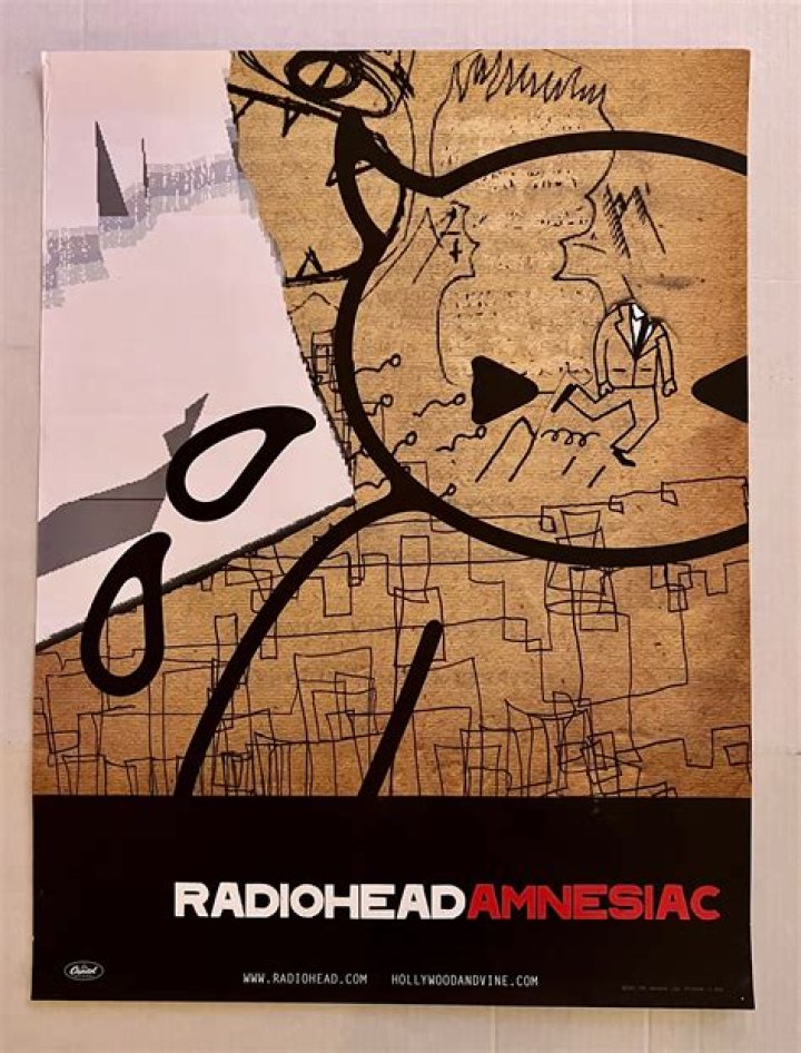 What is the cover of amnesiac?