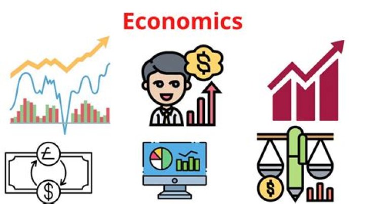 What is the crucial issue that economics studies?