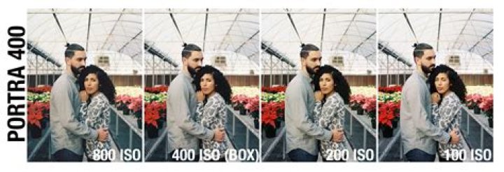 What is the difference between 100 and 400 film?