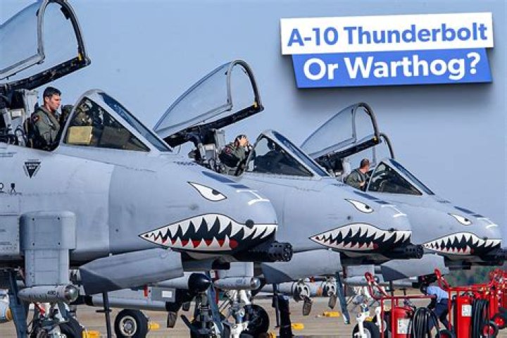 What is the difference between a-10 Warthog and A-10 Thunderbolt?