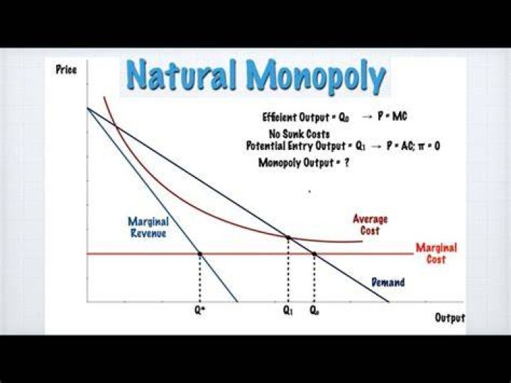 What is the difference between a monopoly and a natural monopoly?
