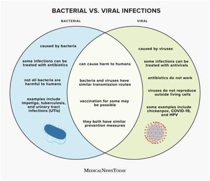 What is the difference between a virus and a Infection?