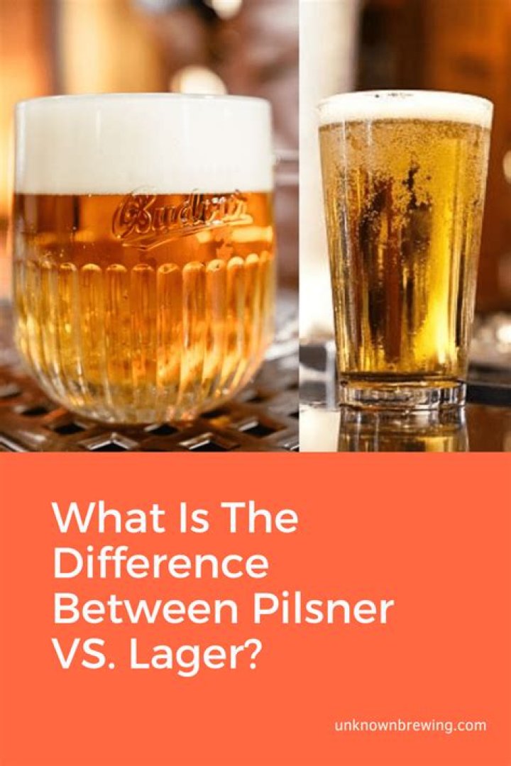 What is the difference between ale and lager and pilsner?