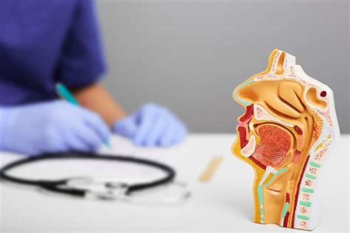 What is the difference between an ENT and Otolaryngology?