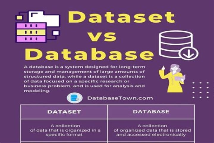 What is the difference between data set and dataset?