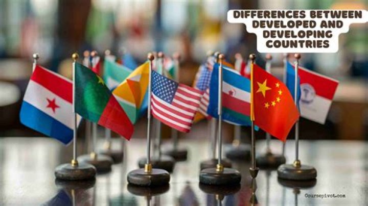 What is the difference between developed and developing countries quizlet?