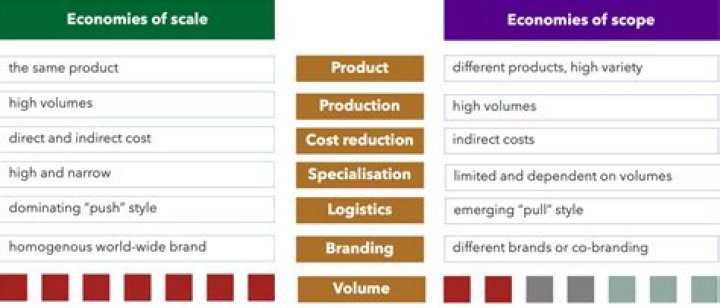 What is the difference between economies of scale and economies of scope Coursehero?