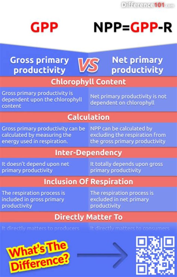 What is the difference between gross primary productivity and net primary productivity quizlet?