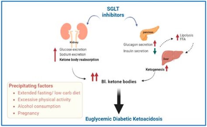 What is the difference between keto and ketosis?
