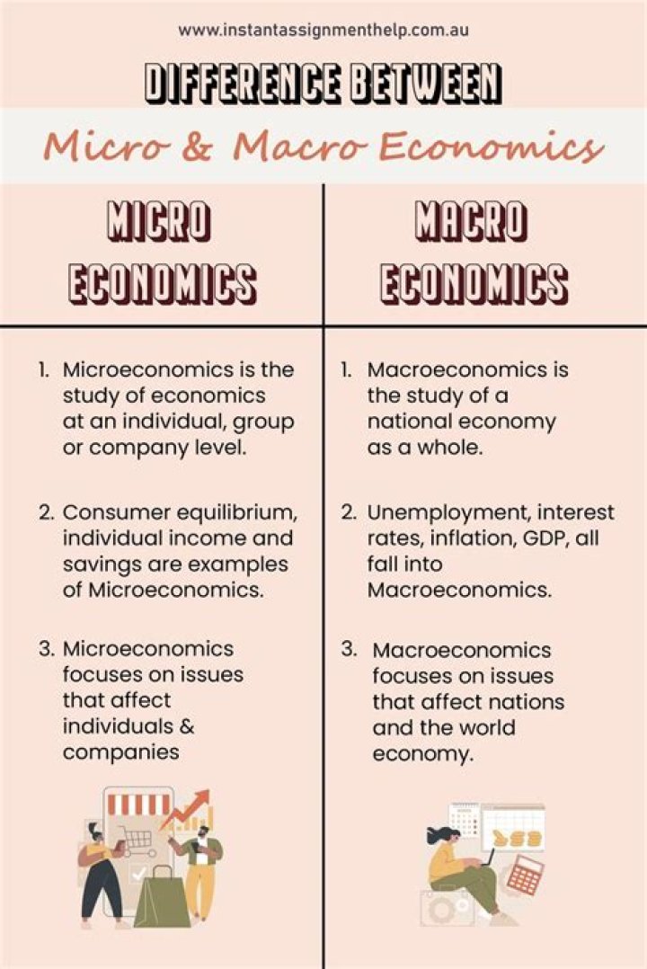 What is the difference between micro and macro economy?