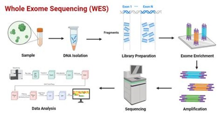 What is the difference between microarray and whole exome sequencing?