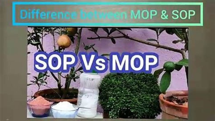 What is the difference between MOP and SOP?