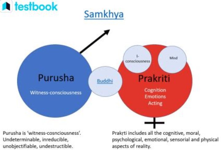 What is the difference between sankhya and Samkhya?