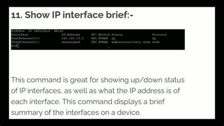 What is the difference between show interface and show ip interface?