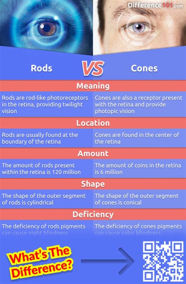 What is the difference between the Note 4 and the Note 5?