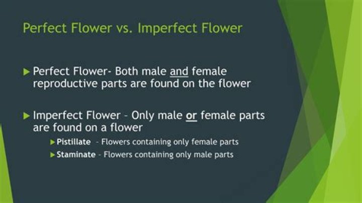 What is the difference of perfect and imperfect flowers?