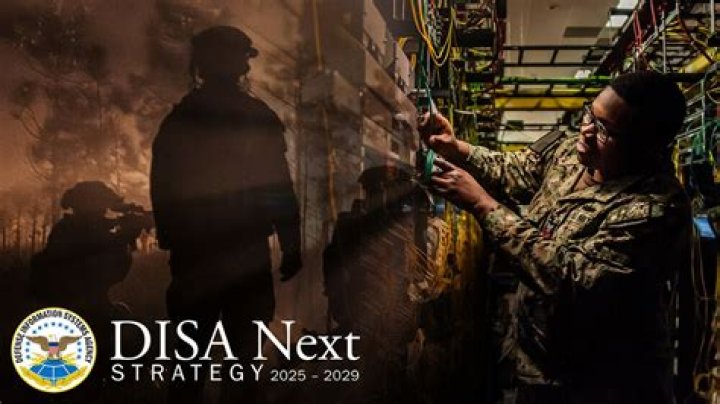What is the DISA network?