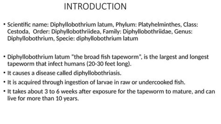 What is the distinguishing features of Diphyllobothrium Latum?