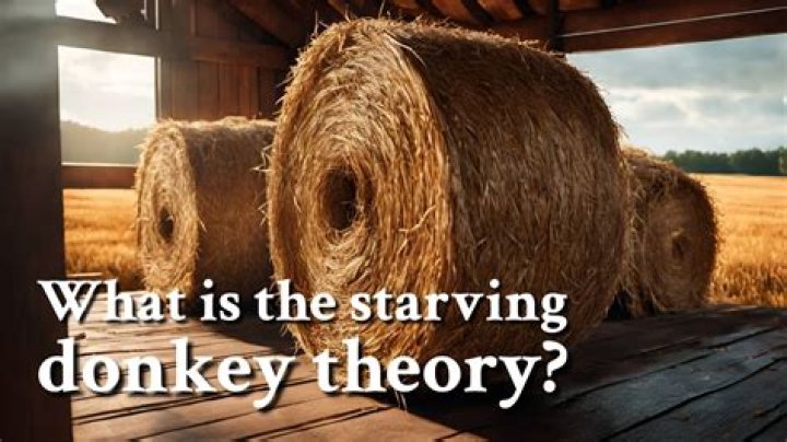 What is the donkey theory?