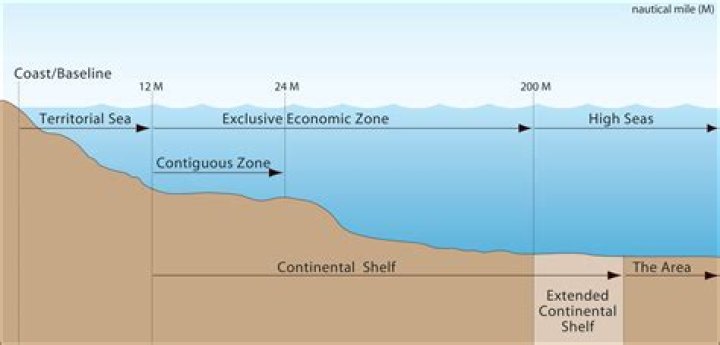 What is the economic importance of continental shelf?
