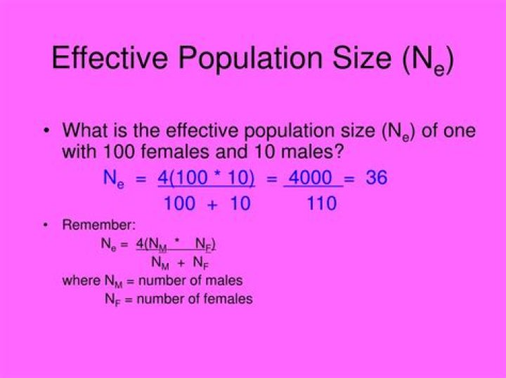 What is the effective population size Ne?