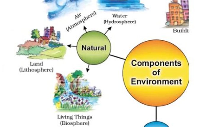 What is the environment of Western Australia?
