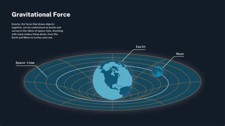 What is the force of gravity on Mercury?