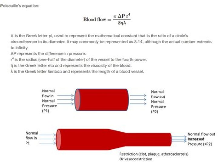 What is the formula relating blood flow blood pressure and resistance?