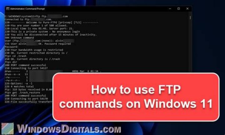 What is the FTP command in Windows?