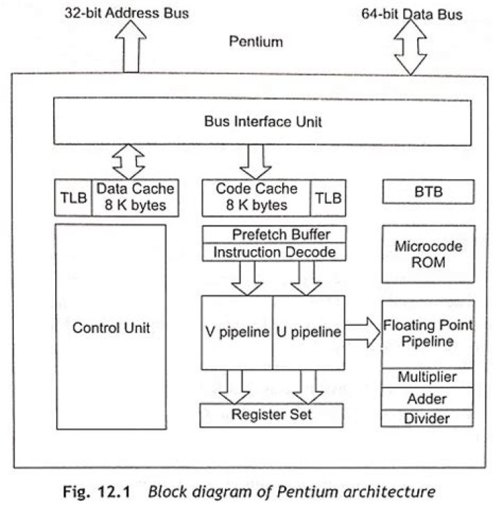 What is the function of Intel Pentium processor?