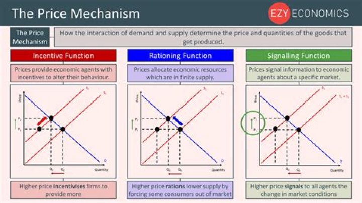 What is the function of price in a market economy?