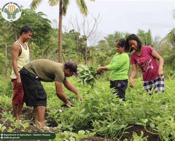 What is the Green Revolution in Philippines?