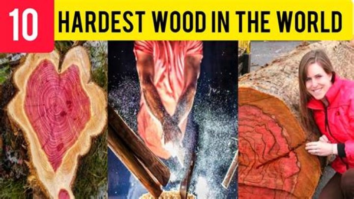 What is the hardest wearing fabric?