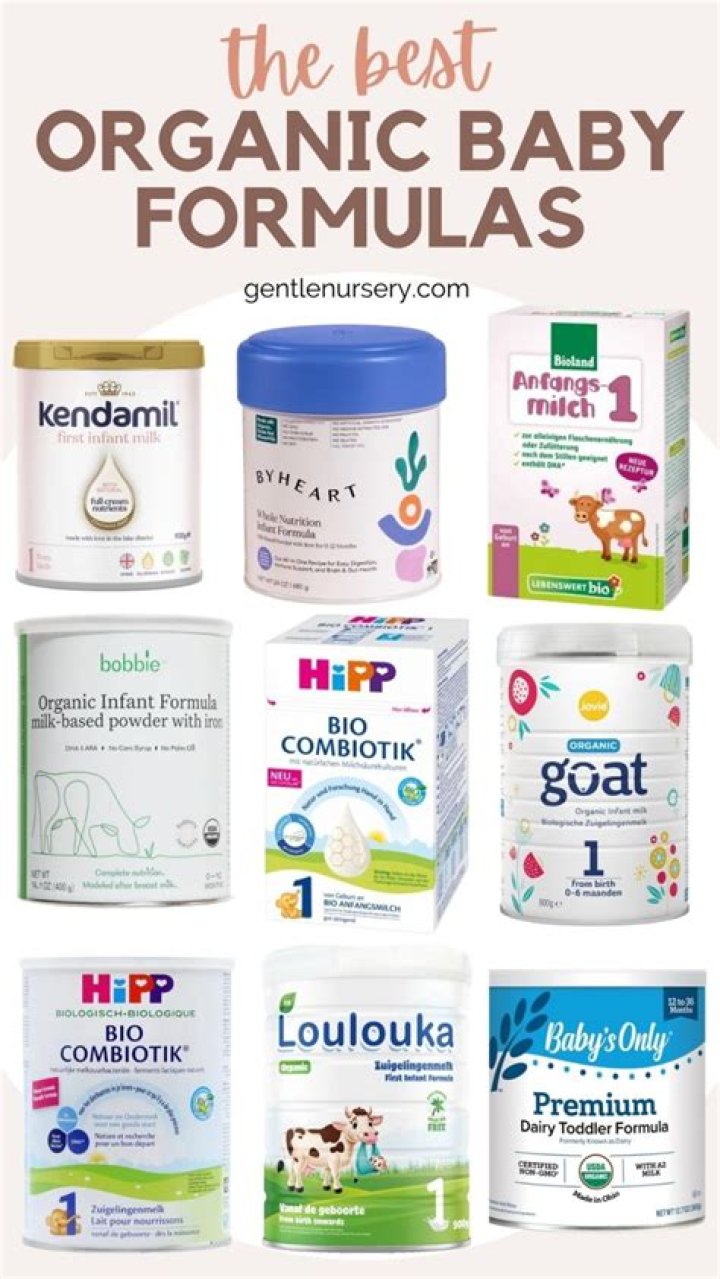 What is the healthiest organic baby formula?