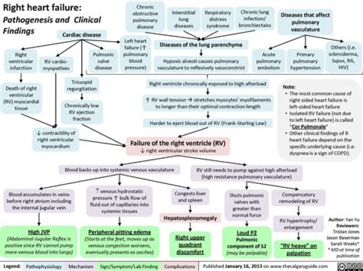 What is the heart failure guidelines go-to-guide?