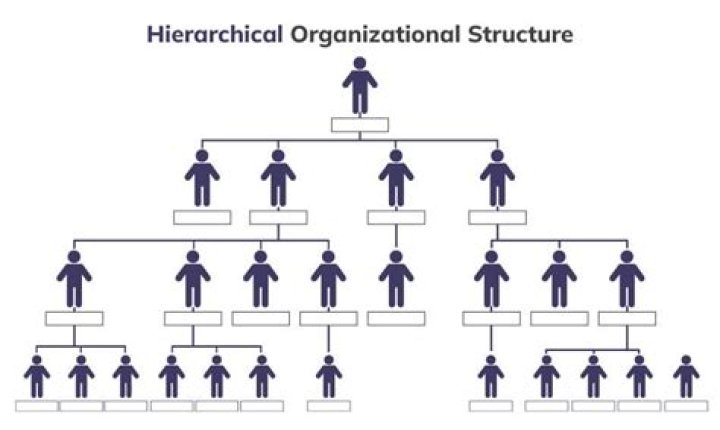What is the hierarchical model in psychology?