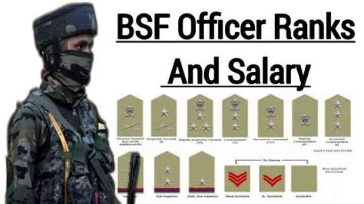 What is the highest rank in BSF?