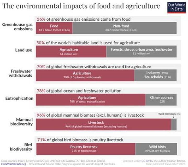 What is the impact of environment on economy?